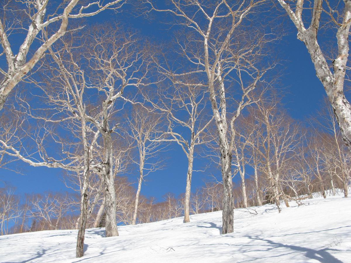 Resort Project Myoko Kogen Exterior foto